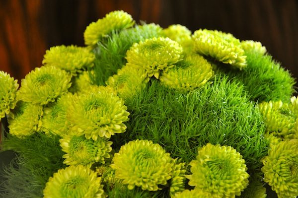 zelenie-cvety