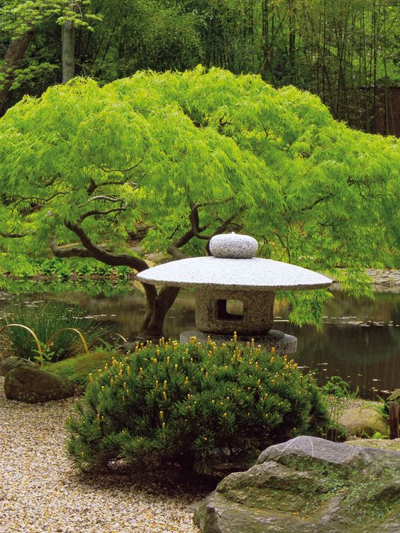 Как создать японский сад камней своими руками?